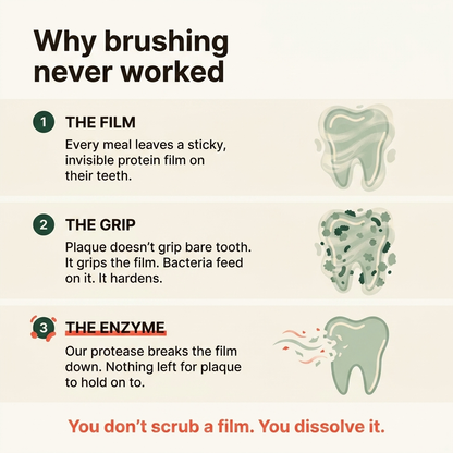 No-Brush Dental Powder