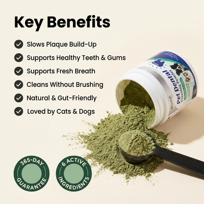 No-Brush Dental Powder